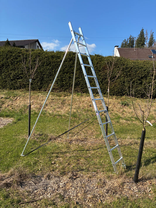MUNK Obstbaumleiter - 12 Sprossen - einseitig begehbar - *Neuware*